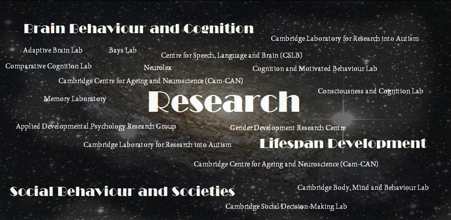 research themes 