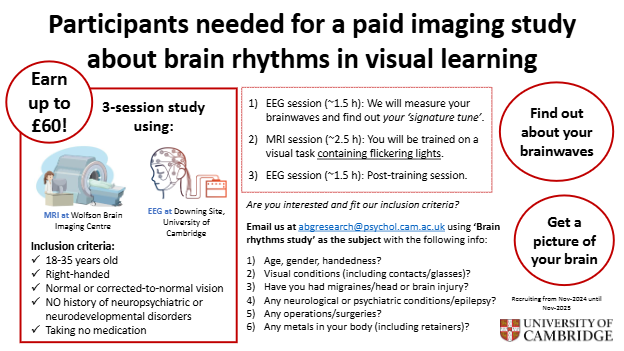 EEG and fMRI Study - Adaptive Brain Group
