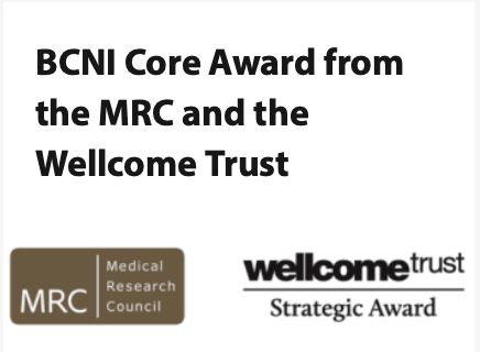 BCNI CORE award from the MRC and the Wellcome Trust