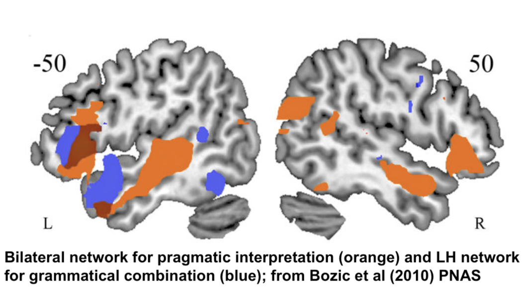 Bilateral network for pragmatic interpretation (orange) and LH network for grammatical combination (blue); from Bozic et al (2010) PNAS Bilateral network for pragmatic interpretation (orange) and LH network for grammatical combination (blue); from Bozic et al (2010) PNAS