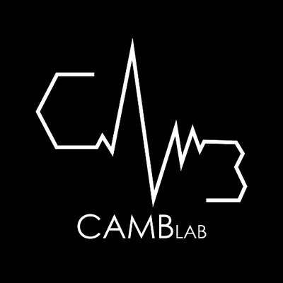 Cognition and Motivated Behaviour Lab logo