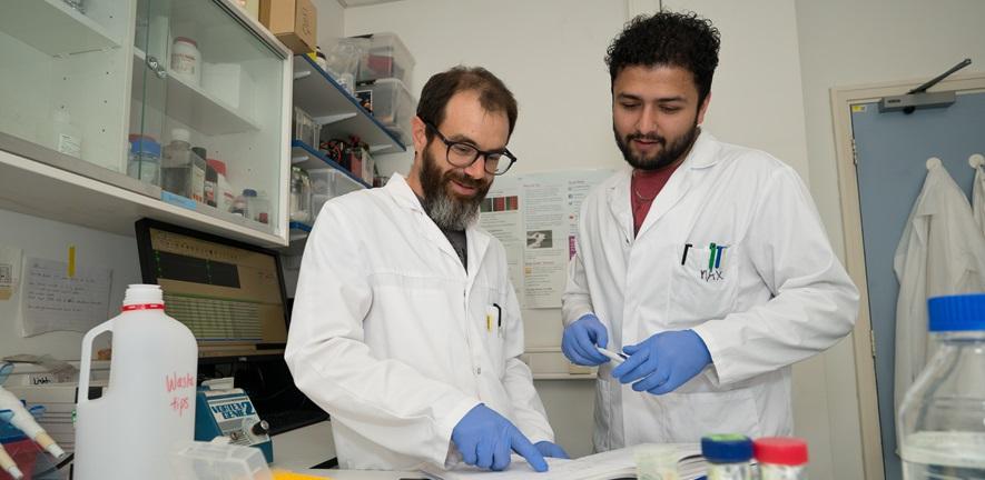Two people in white lab coats collaborating on a project in a research laboratory