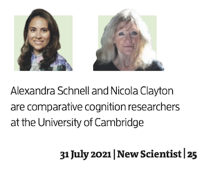 photo of Alexandra Schnell and Nicola Clayton. They are comparative cognition researchers at the University of Cambridge