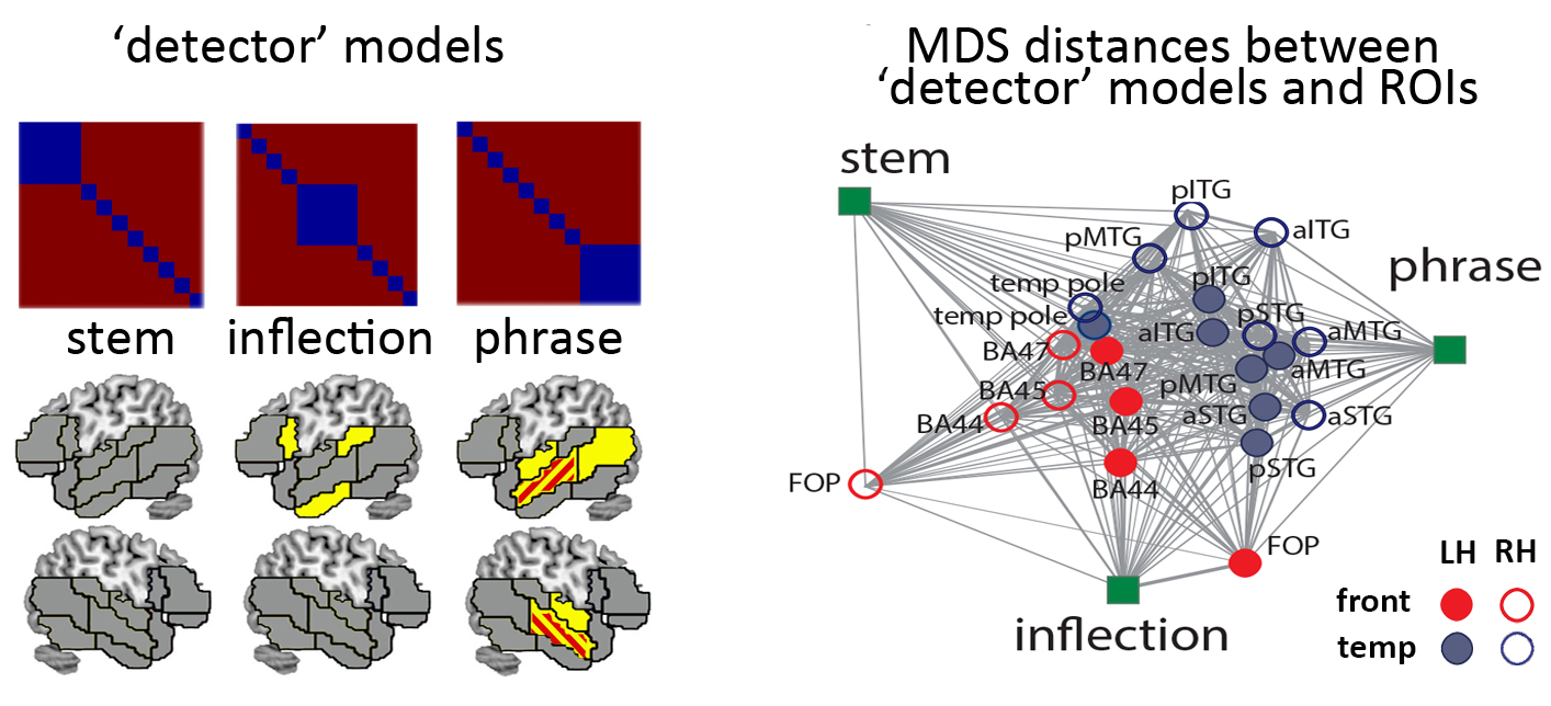 Multivariate RSA results showing dissociation between the functional properties of the left-lateralised and the bilateral processing networks; from Bozic et al (2015)