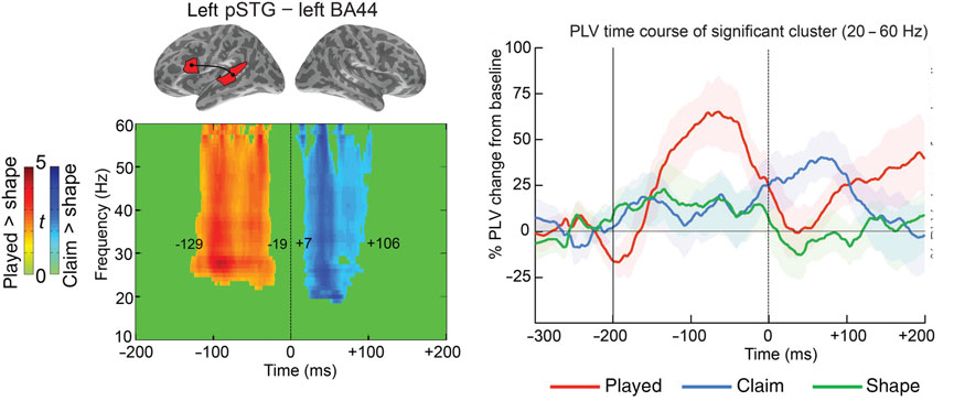Brain Network Connectivity During Language Comprehension: Interacting Linguistic and Perceptual Subsystems 