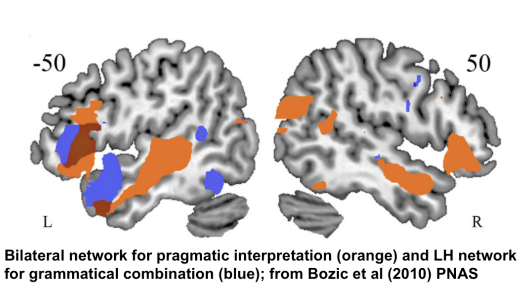 Bilateral network for pragmatic interpretation (orange) and LH network for grammatical combination (blue); from Bozic et al (2010) PNAS