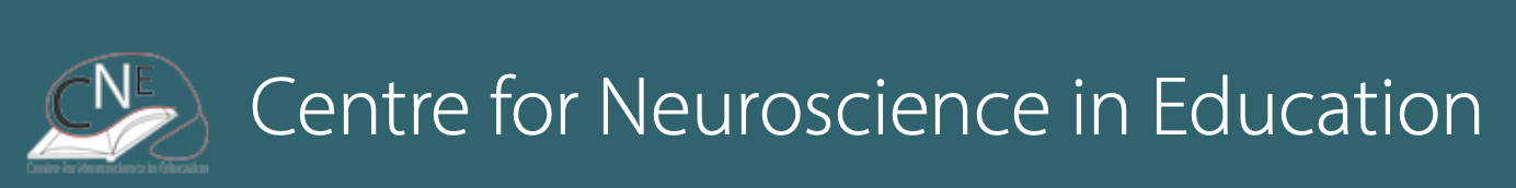 Centre for Neuroscience in Education logo