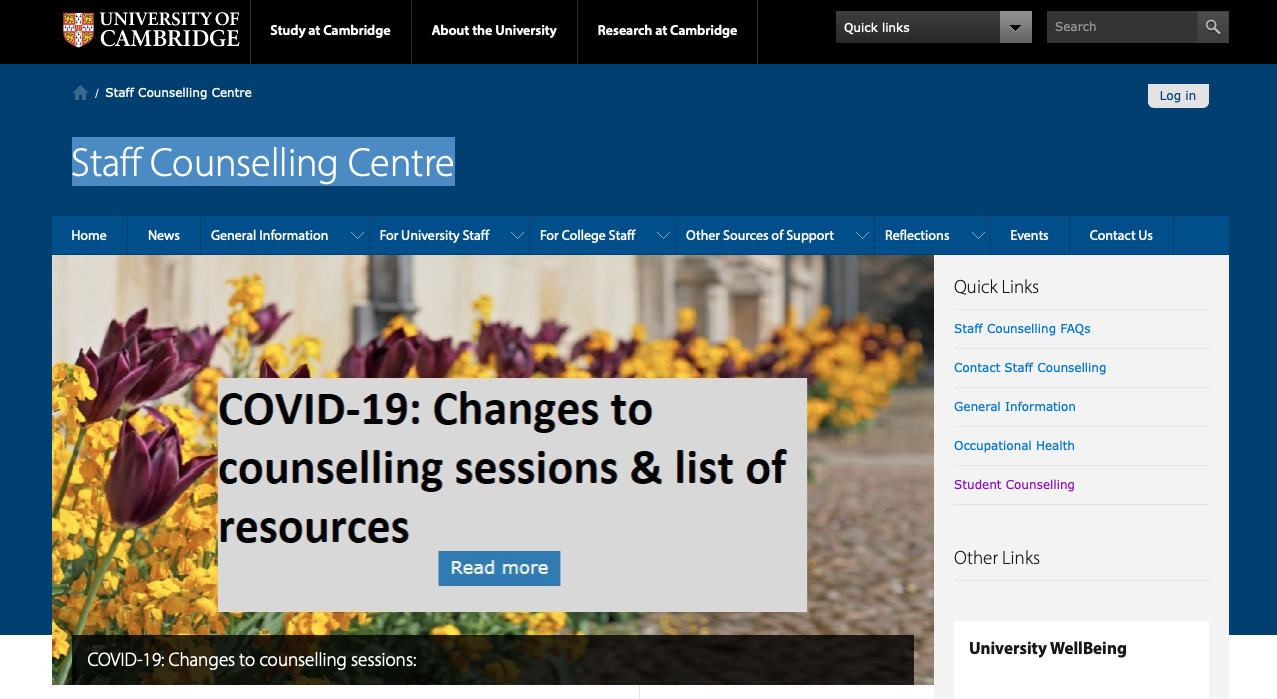 screenshoot of staff counselling centre page