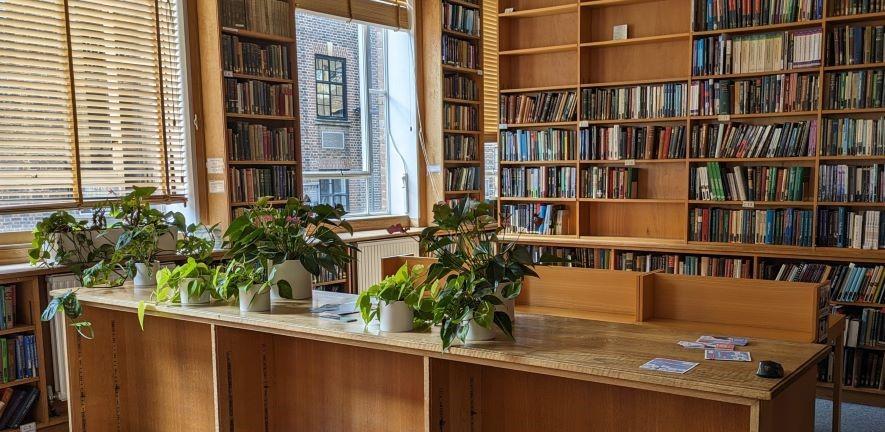 View of the Psychology Library: wooden bookshelves and desks, plants and big windows.